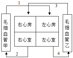 菁優(yōu)網(wǎng)