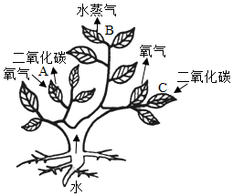 菁優(yōu)網(wǎng)