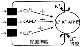 菁優(yōu)網(wǎng)