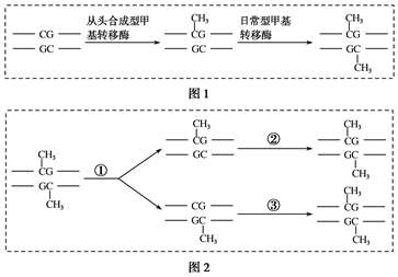 菁優(yōu)網