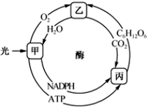 菁優(yōu)網(wǎng)