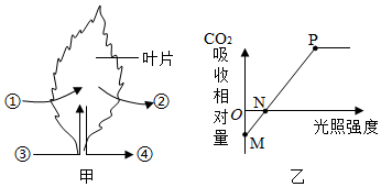 菁優(yōu)網