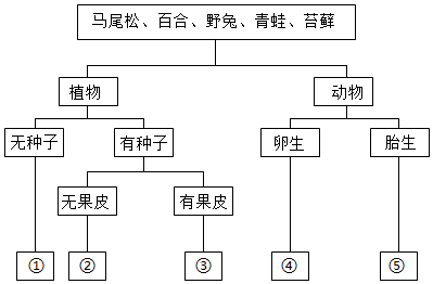 菁優(yōu)網