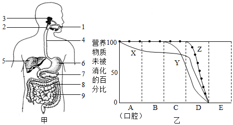 菁優(yōu)網(wǎng)