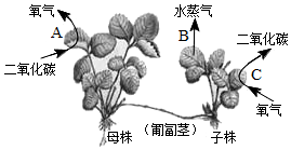 菁優(yōu)網(wǎng)