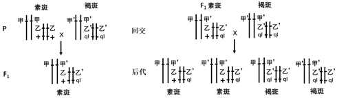 菁優(yōu)網