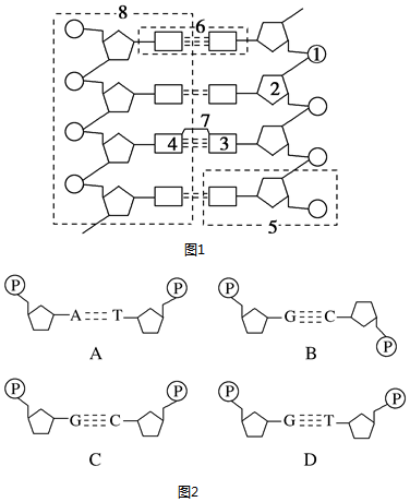 菁優(yōu)網