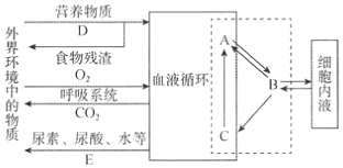 菁優(yōu)網(wǎng)