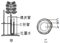 菁優(yōu)網(wǎng)