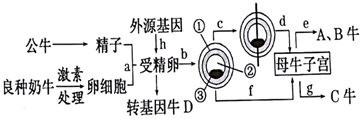 菁優(yōu)網(wǎng)