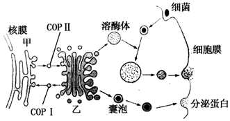 菁優(yōu)網(wǎng)