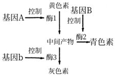 菁優(yōu)網