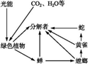 菁優(yōu)網(wǎng)