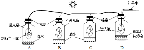 菁優(yōu)網(wǎng)