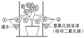 菁優(yōu)網(wǎng)