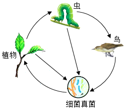 菁優(yōu)網(wǎng)