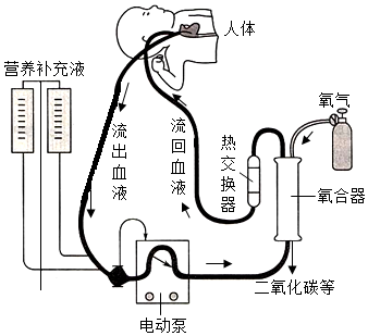 菁優(yōu)網(wǎng)