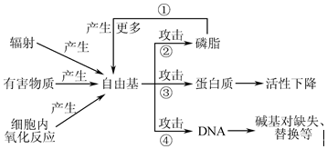 菁優(yōu)網