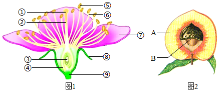 菁優(yōu)網(wǎng)