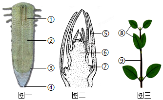 菁優(yōu)網(wǎng)