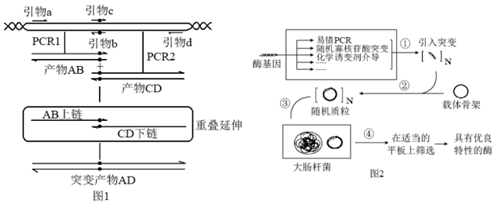 菁優(yōu)網