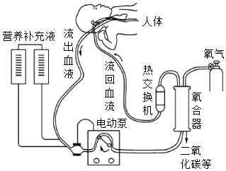 菁優(yōu)網(wǎng)