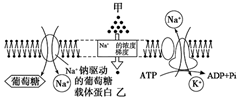 菁優(yōu)網(wǎng)