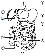 菁優(yōu)網(wǎng)