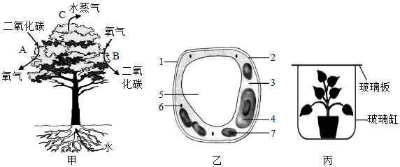 菁優(yōu)網(wǎng)