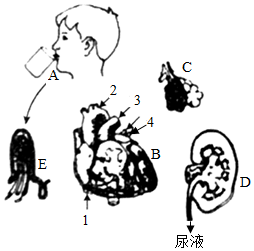 菁優(yōu)網(wǎng)