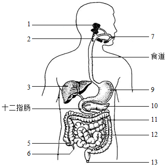 菁優(yōu)網(wǎng)