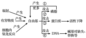 菁優(yōu)網