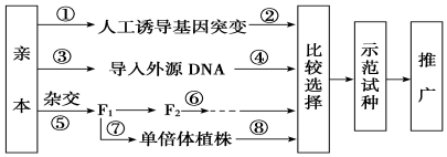 菁優(yōu)網