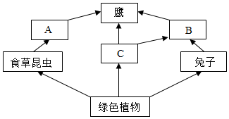 菁優(yōu)網(wǎng)