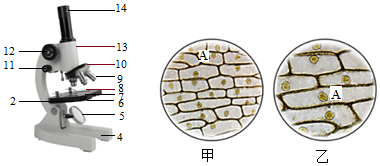 菁優(yōu)網(wǎng)