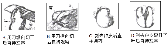 菁優(yōu)網