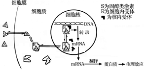 菁優(yōu)網