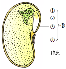 菁優(yōu)網