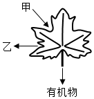 菁優(yōu)網(wǎng)