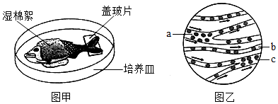 菁優(yōu)網