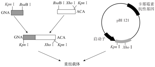 菁優(yōu)網