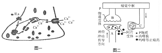 菁優(yōu)網(wǎng)