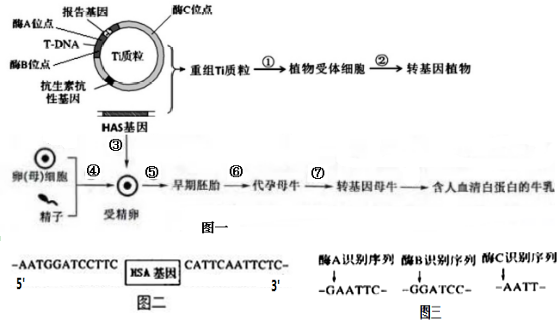 菁優(yōu)網