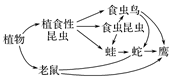 菁優(yōu)網(wǎng)