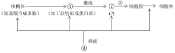 菁優(yōu)網