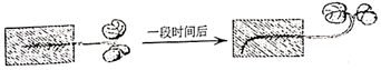 菁優(yōu)網(wǎng)