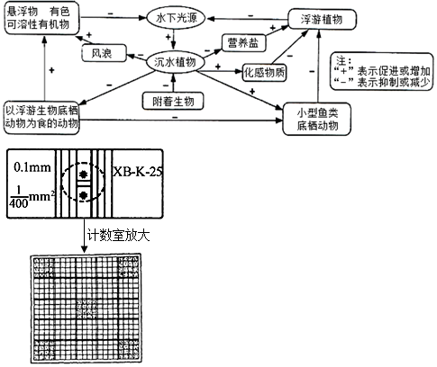 菁優(yōu)網