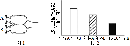 菁優(yōu)網