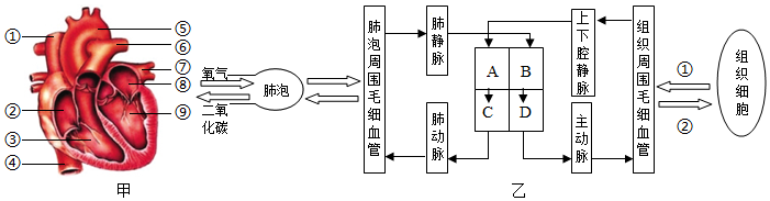 菁優(yōu)網