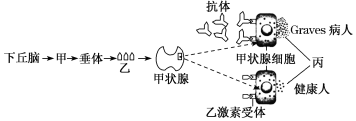 菁優(yōu)網